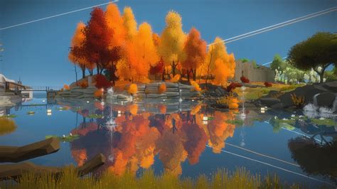 The Witness .